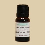 画像: フランキンセンス　エチオピア　10ml